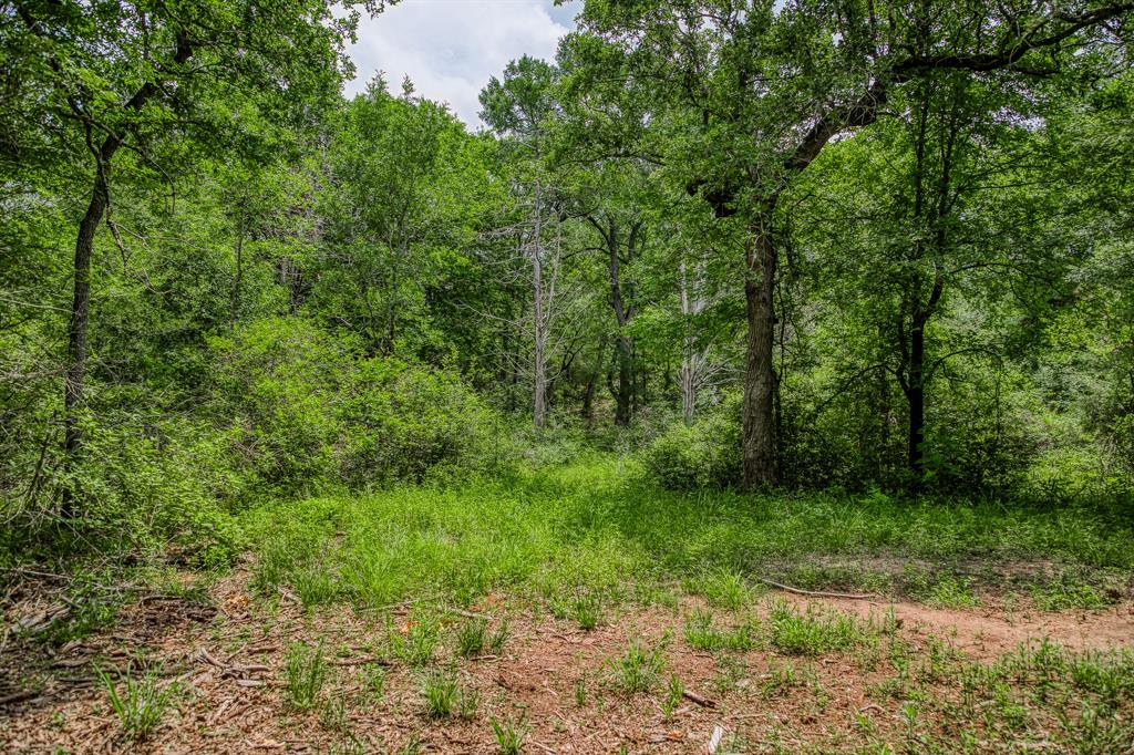 1136 Private Road 4291, Dime Box, Texas image 22