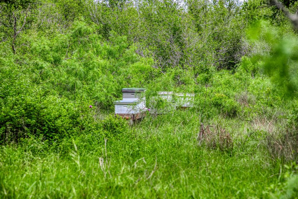 1136 Private Road 4291, Dime Box, Texas image 9