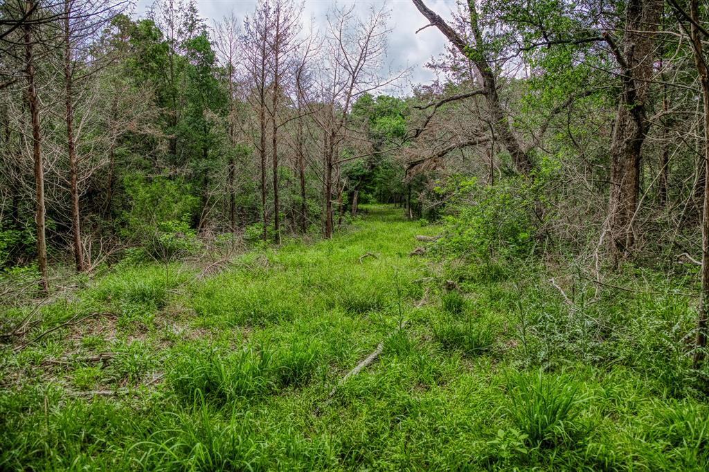 1136 Private Road 4291, Dime Box, Texas image 18