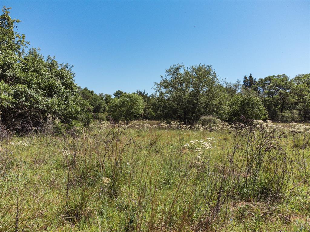 0000 County Road 14d/14e, Hallettsville, Texas image 35