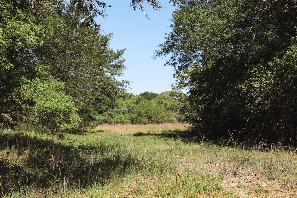 0000 County Road 14d/14e, Hallettsville, Texas image 10