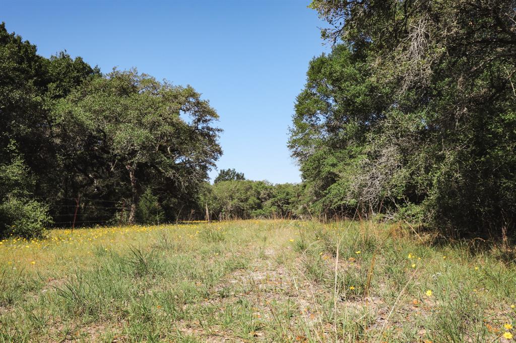 0000 County Road 14d/14e, Hallettsville, Texas image 9