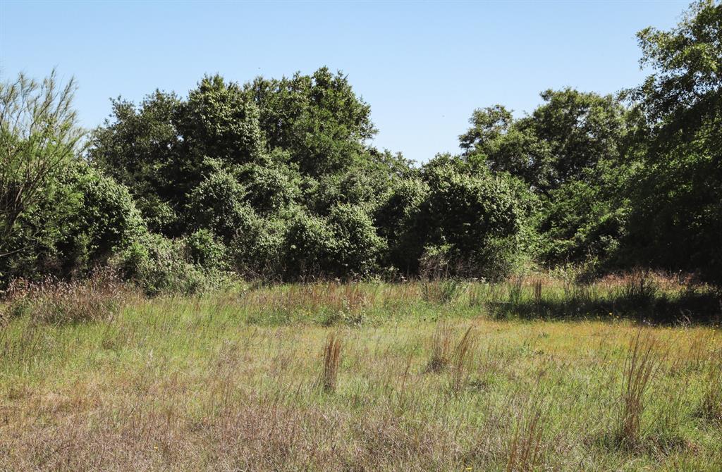 0000 County Road 14d/14e, Hallettsville, Texas image 13