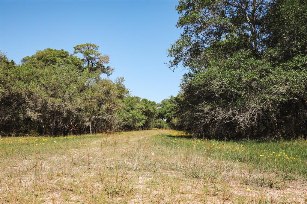 0000 County Road 14d/14e, Hallettsville, Texas image 18