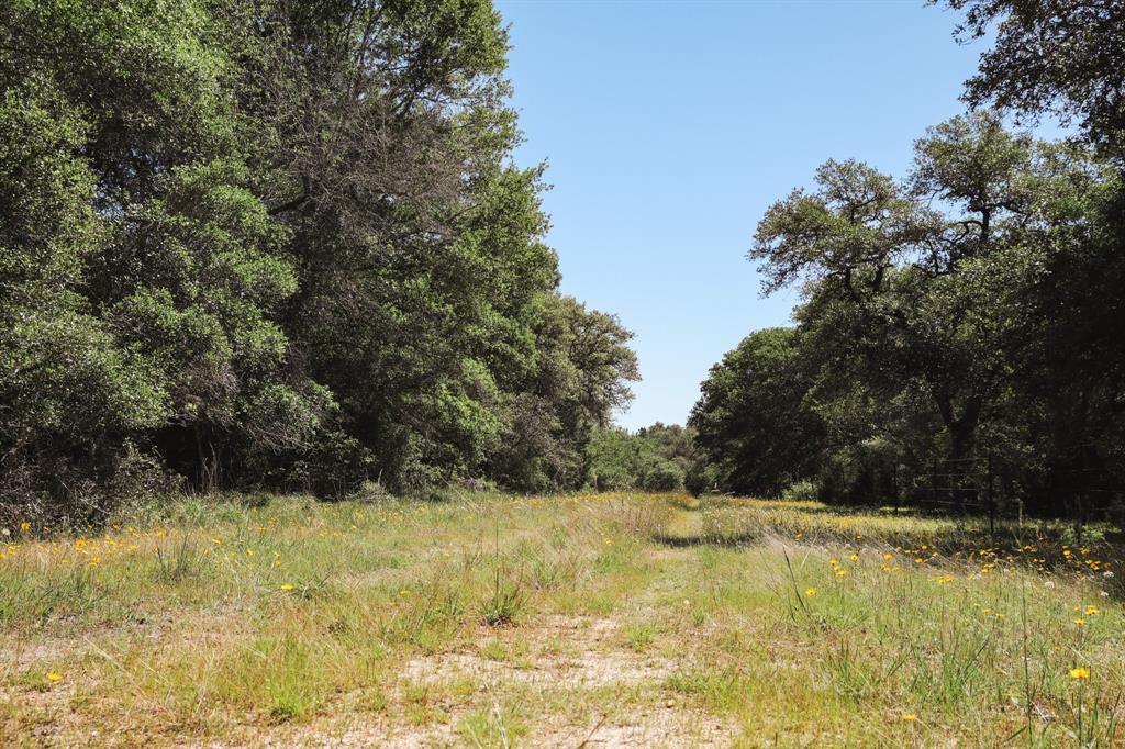 0000 County Road 14d/14e, Hallettsville, Texas image 17