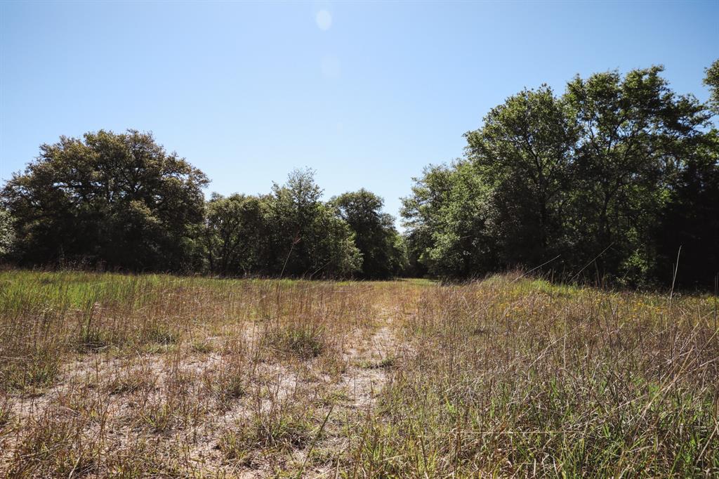 0000 County Road 14d/14e, Hallettsville, Texas image 14