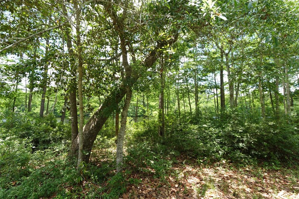 TBD Road 2735, Cleveland, Texas image 17
