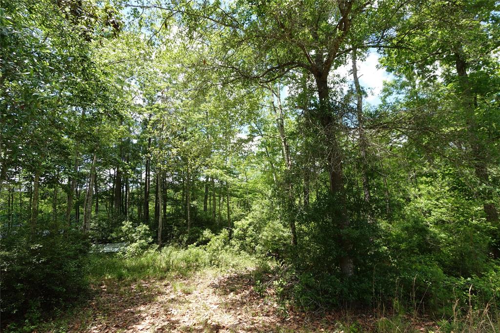 TBD Road 2735, Cleveland, Texas image 20