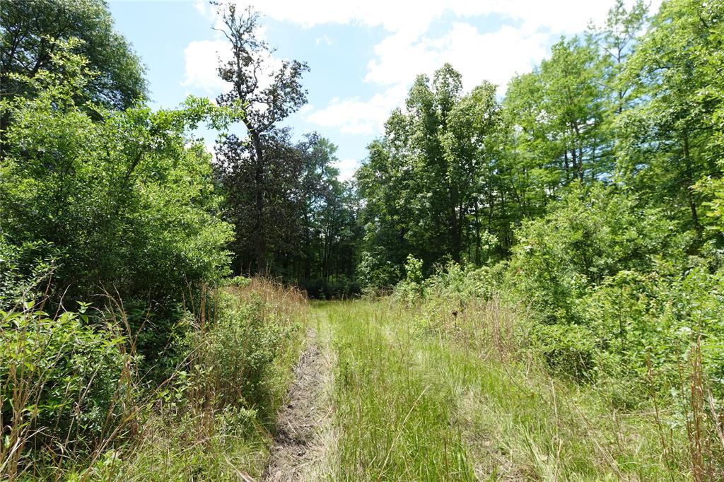 TBD Road 2735, Cleveland, Texas image 15