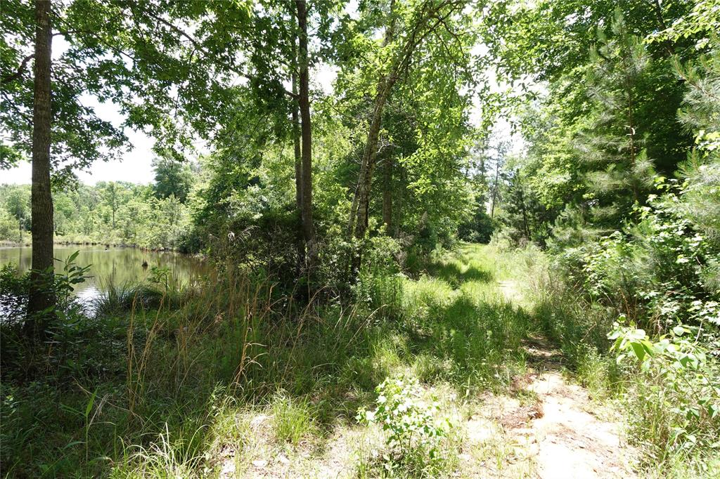 TBD Road 2735, Cleveland, Texas image 6