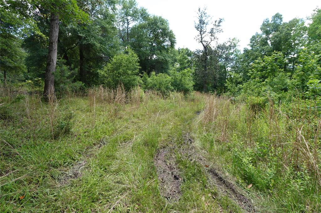 TBD Road 2735, Cleveland, Texas image 13