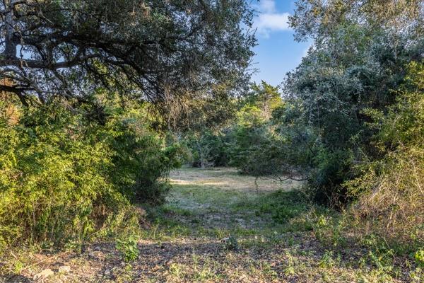 TBD Wendy Lane - Lot 15, Round Top, Texas image 3