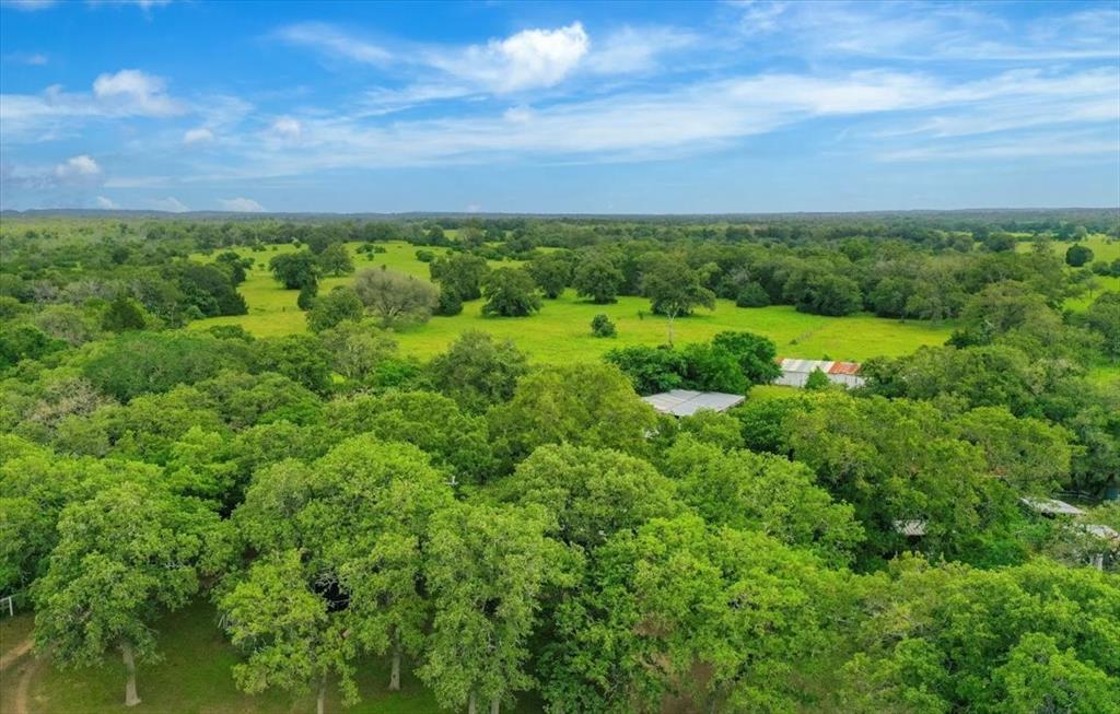 1890 Sandy Fork Road, Harwood, Texas image 23