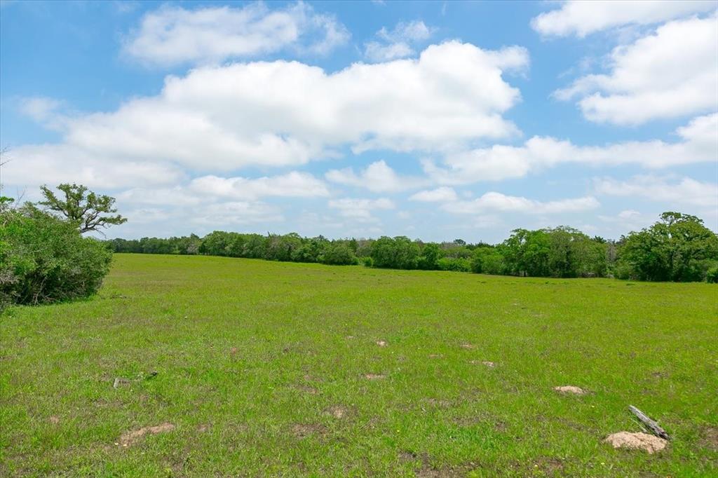 1890 Sandy Fork Road, Harwood, Texas image 11