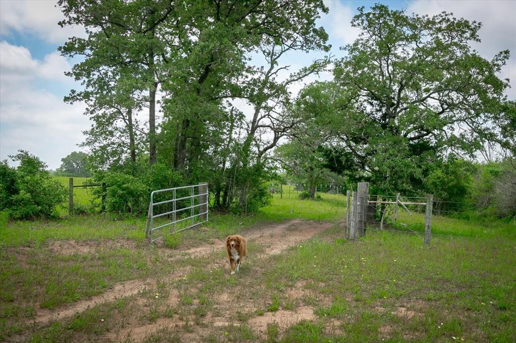 1890 Sandy Fork Road, Harwood, Texas image 8