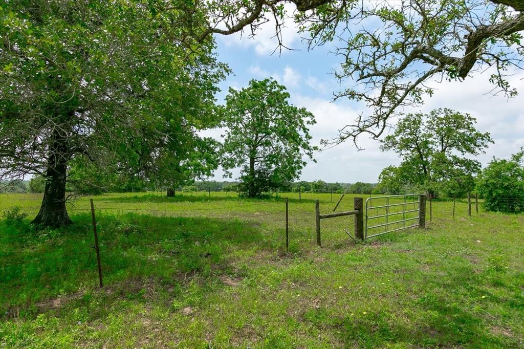 1890 Sandy Fork Road, Harwood, Texas image 13