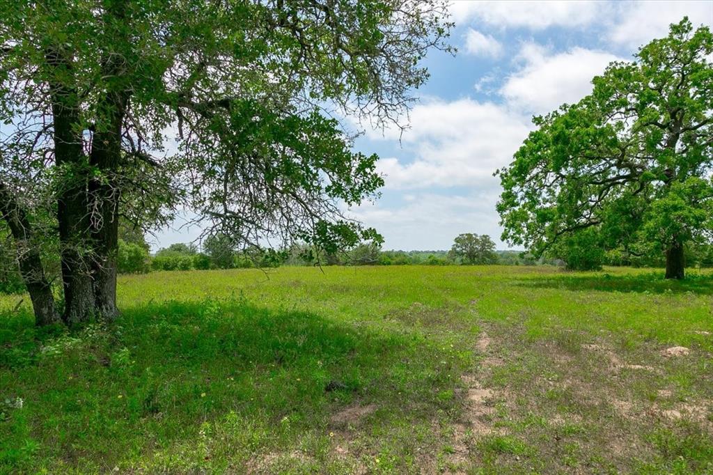 1890 Sandy Fork Road, Harwood, Texas image 14