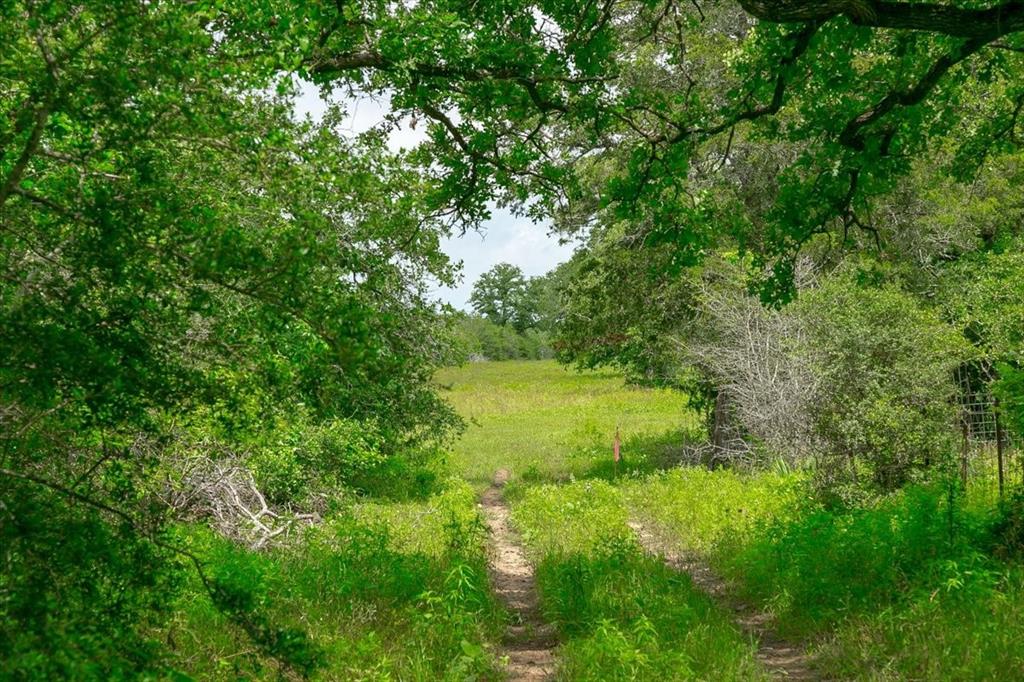 1890 Sandy Fork Road, Harwood, Texas image 5