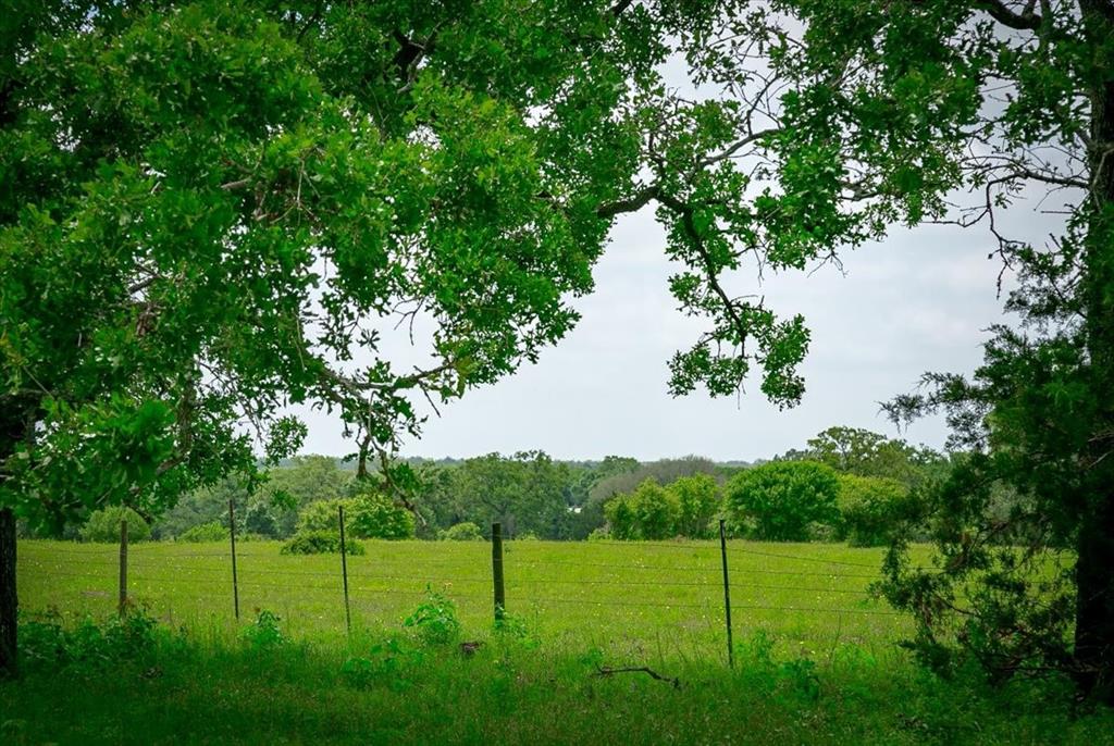 1890 Sandy Fork Road, Harwood, Texas image 15