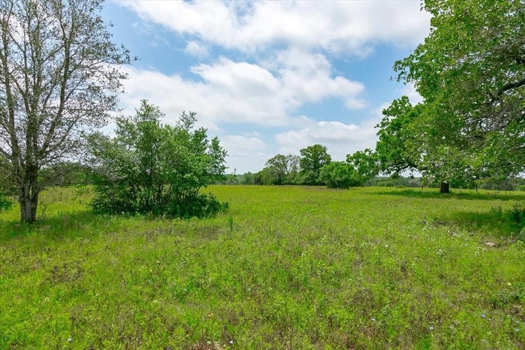 1890 Sandy Fork Road, Harwood, Texas image 12