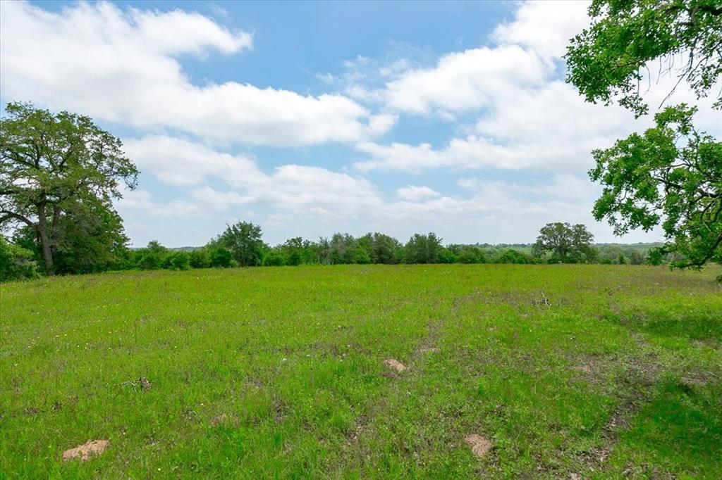 1890 Sandy Fork Road, Harwood, Texas image 16