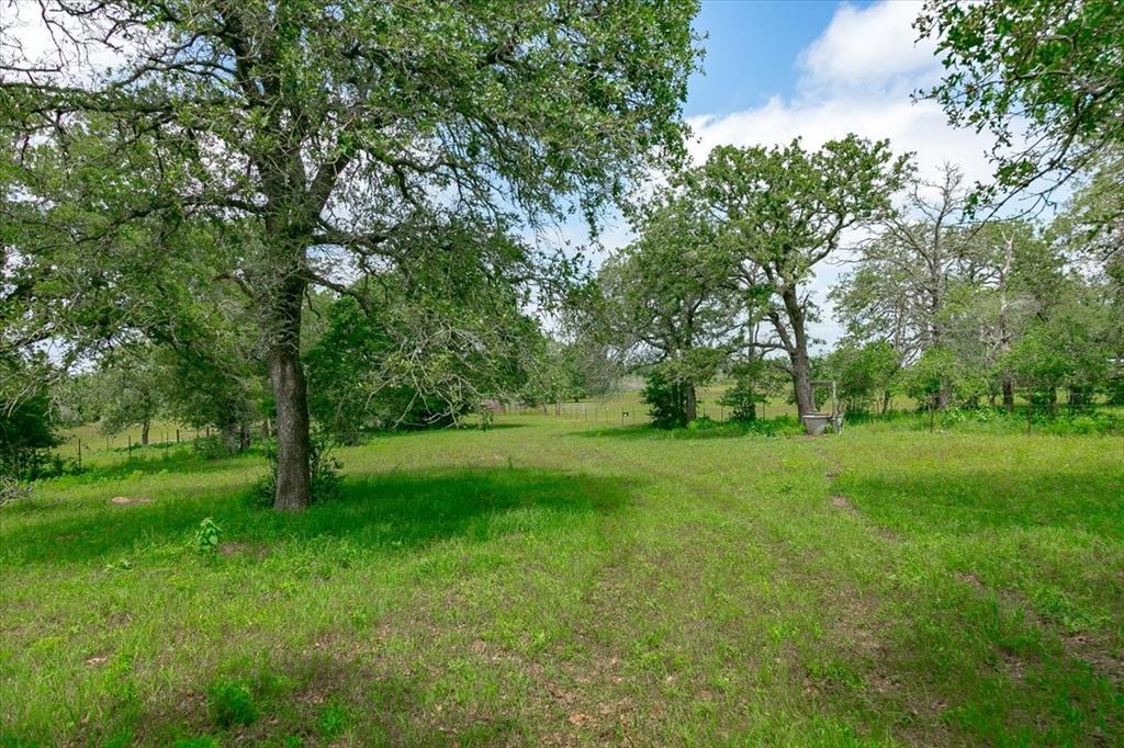 1890 Sandy Fork Road, Harwood, Texas image 17