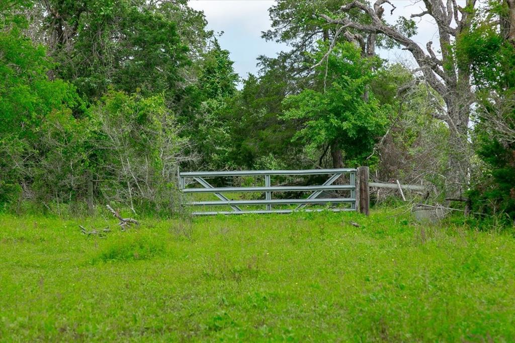 1890 Sandy Fork Road, Harwood, Texas image 6