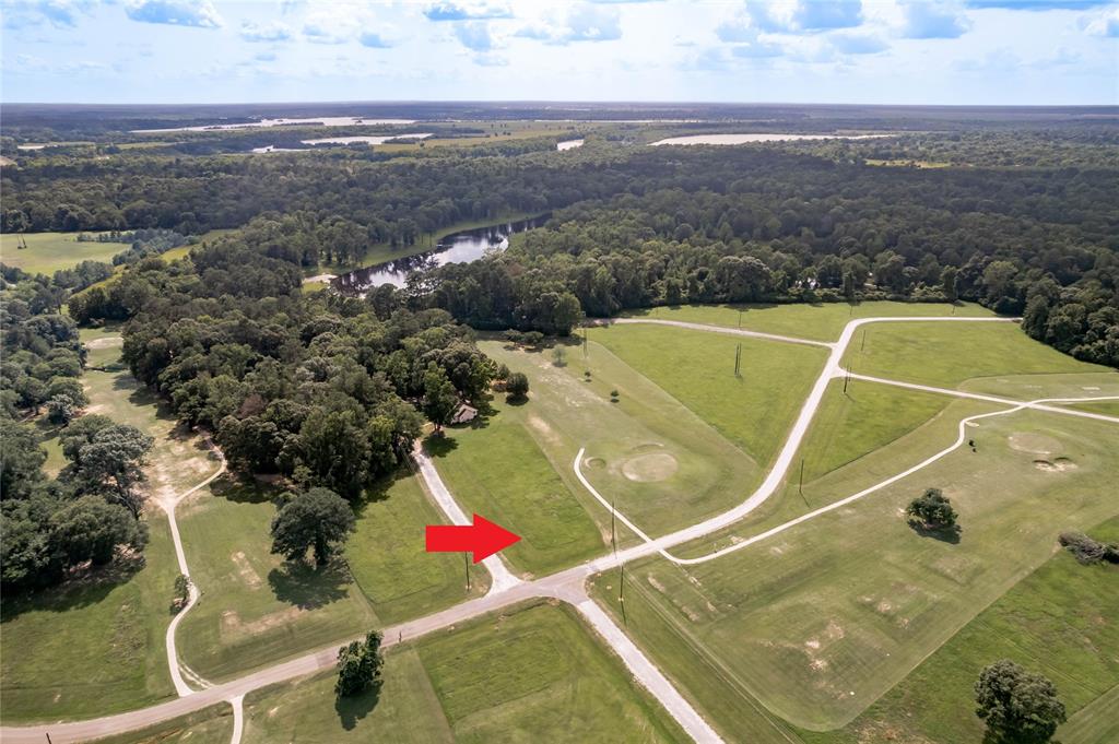 Lot 14 Natchez Place, Trinity, Texas image 1