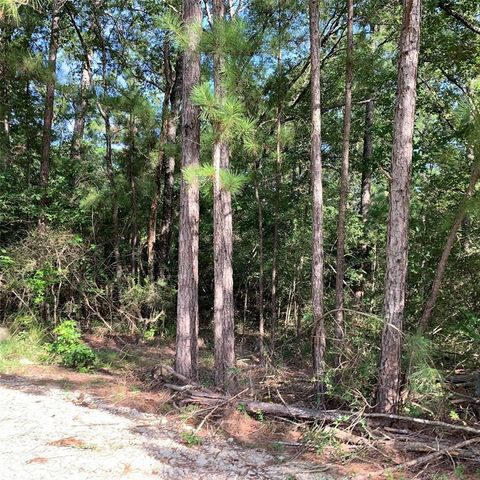 Vacant Land For Sale - TBD Hard Rock Ln Drive<br/> Trinity, TX 75862