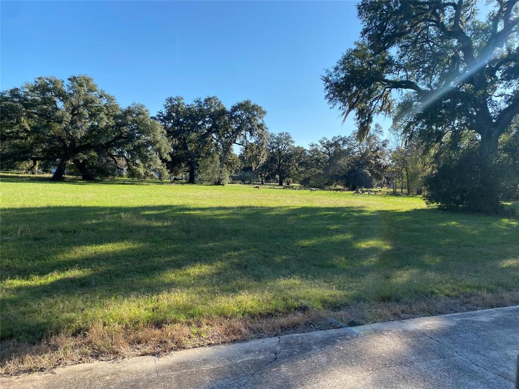 500 Rocking Horse Court, Angleton, Texas image 2
