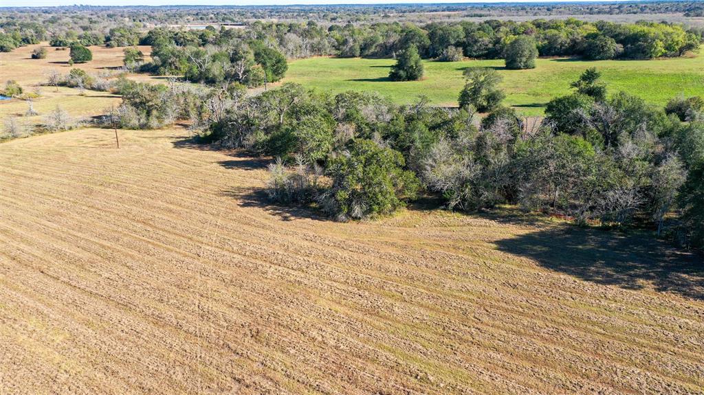 Lot 7 County Rd 229, Bedias, Texas image 6