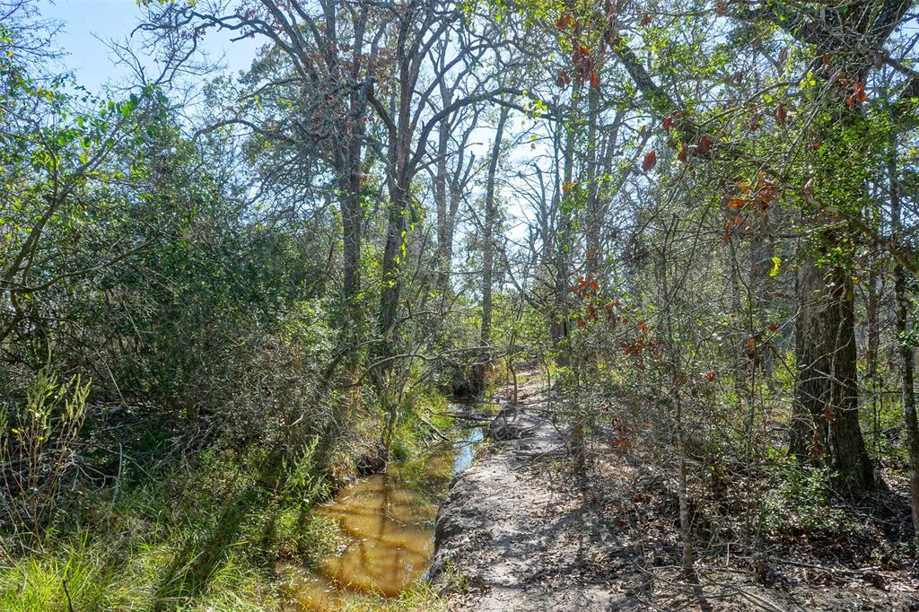 Lot 7 County Rd 229, Bedias, Texas image 3