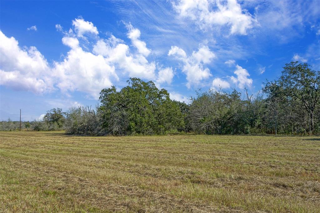 Lot 7 County Rd 229, Bedias, Texas image 4