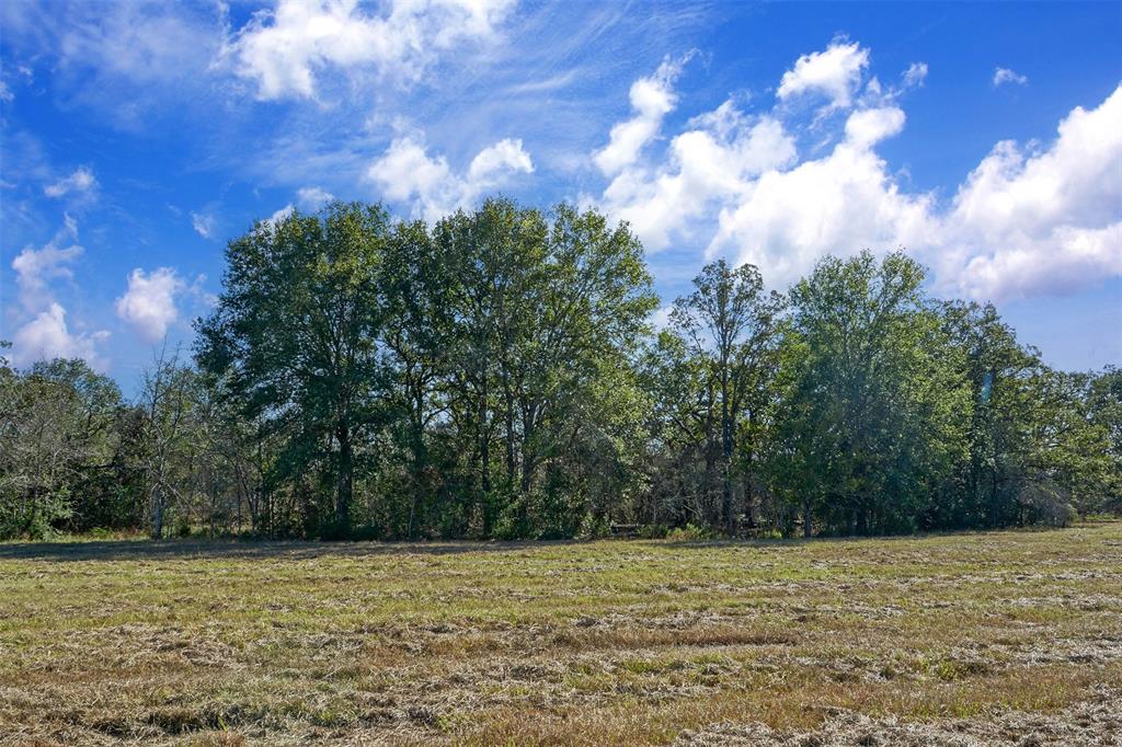 Lot 7 County Rd 229, Bedias, Texas image 1