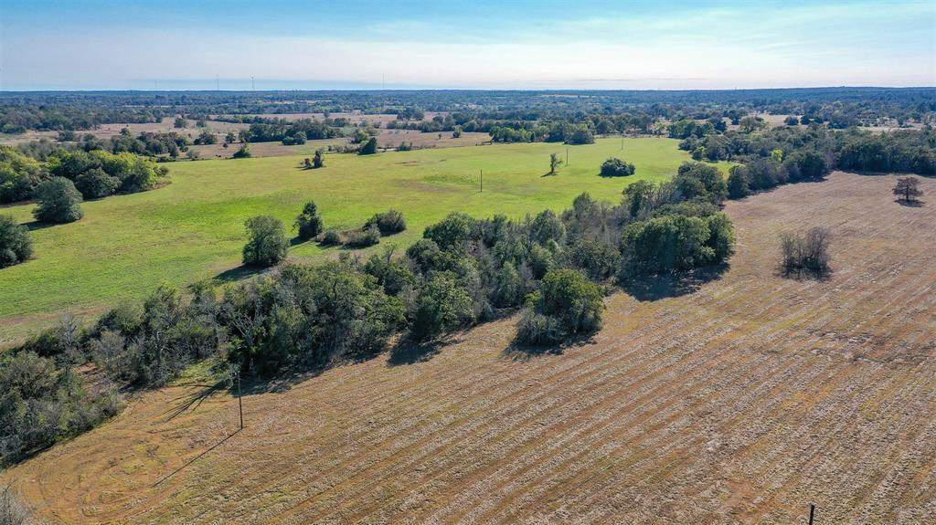 Lot 7 County Rd 229, Bedias, Texas image 8