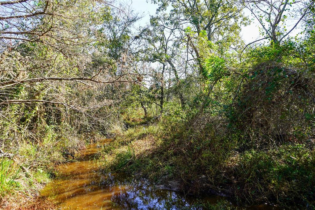 Lot 7 County Rd 229, Bedias, Texas image 5