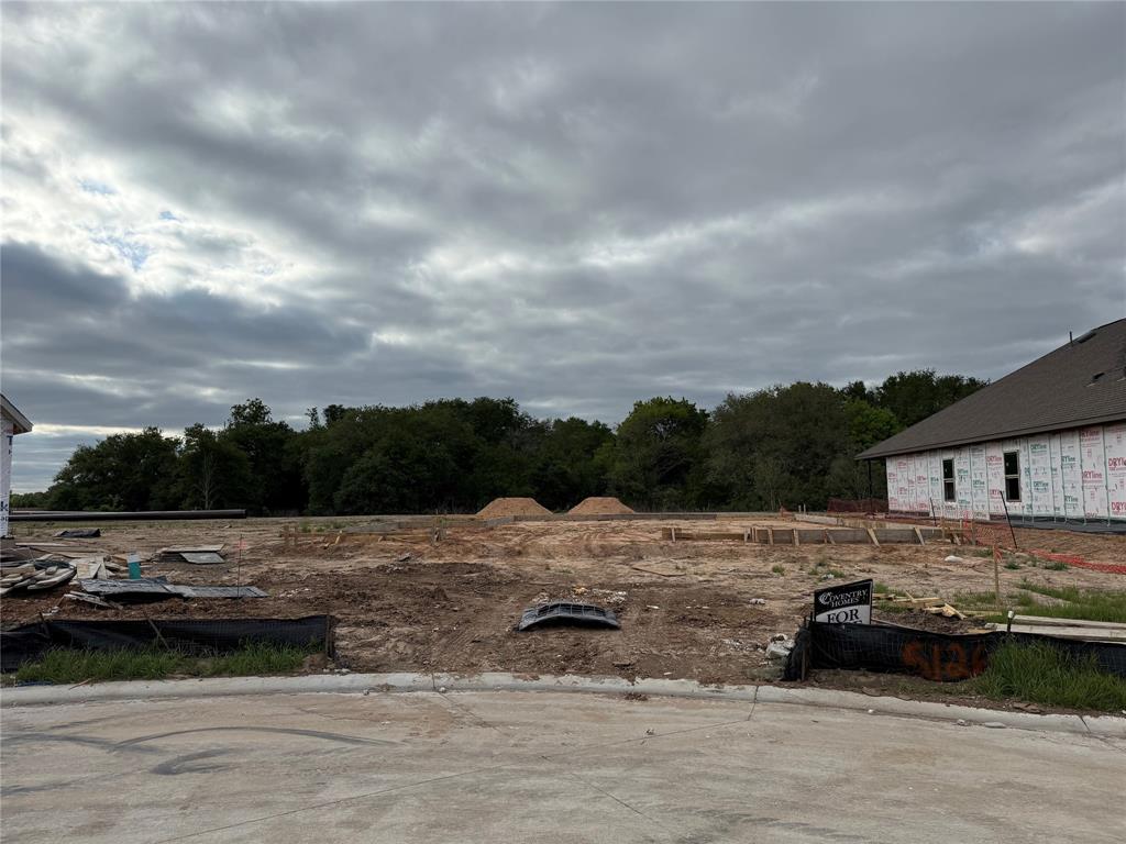 5126 Juniper Lagoon Lane, Richmond, Texas image 3