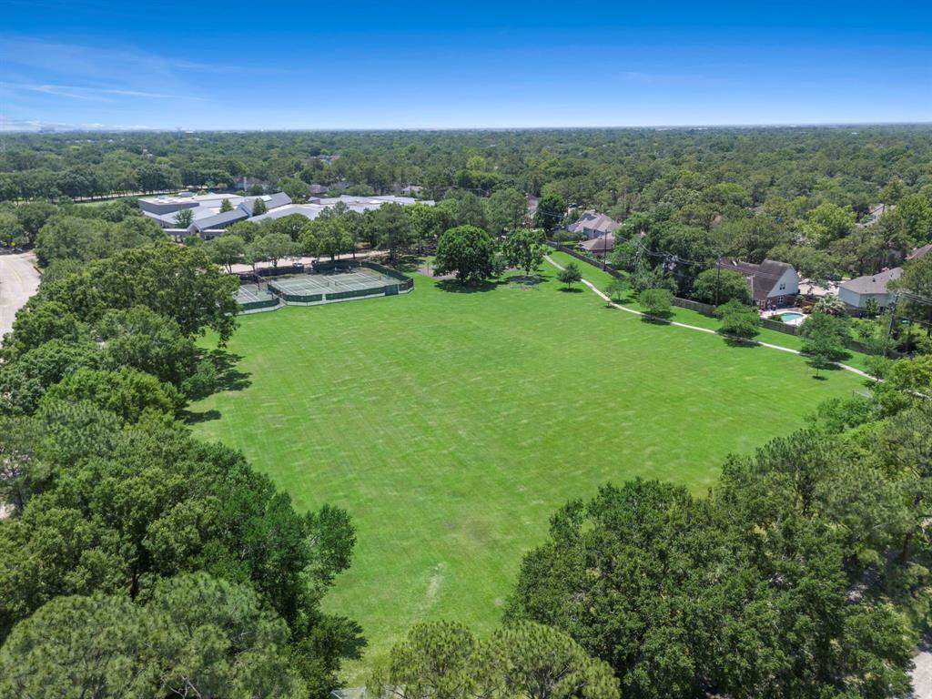 1714 Briarmoor Court, Houston, Texas image 46