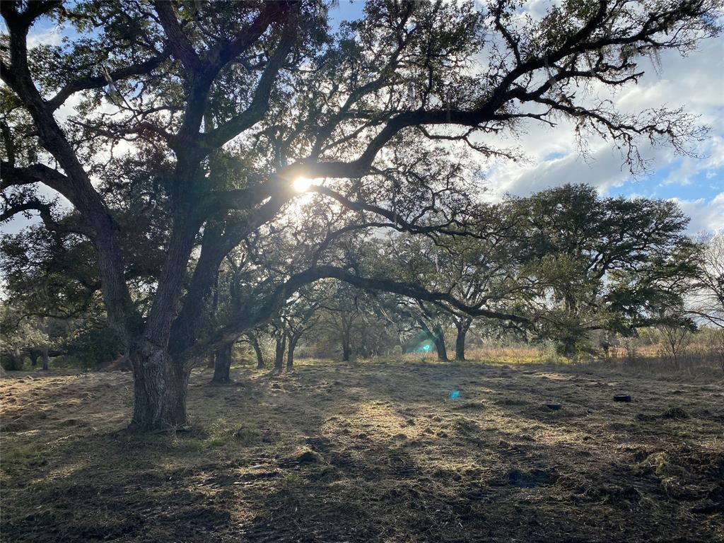 17100 Highway 35, West Columbia, Texas image 14