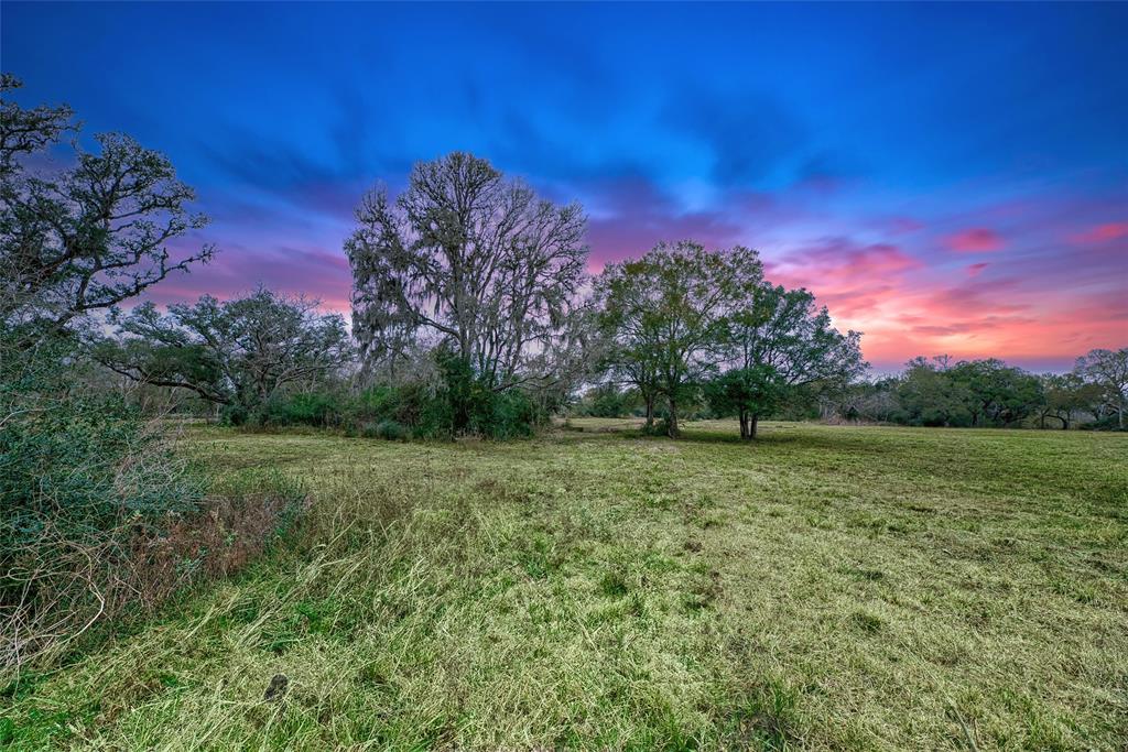 17100 Highway 35, West Columbia, Texas image 6