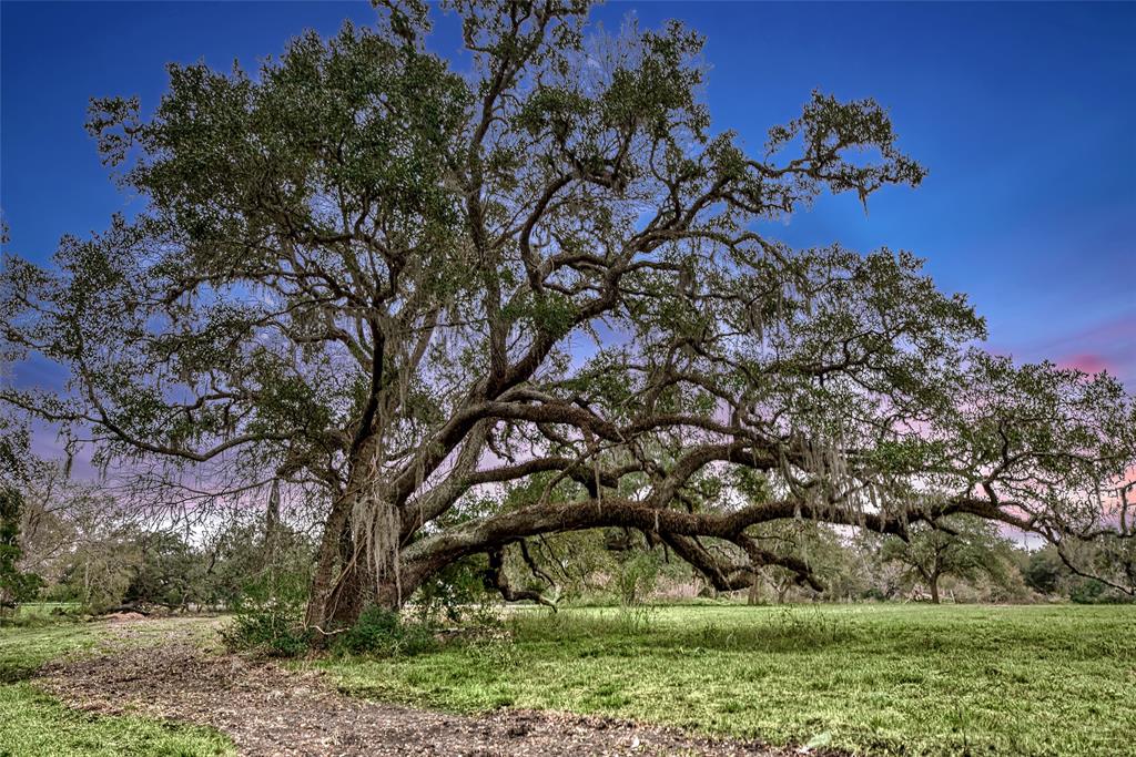 17100 Highway 35, West Columbia, Texas image 18