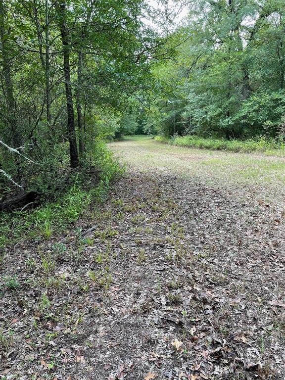 0473 Fm 3478, Huntsville, Texas image 11