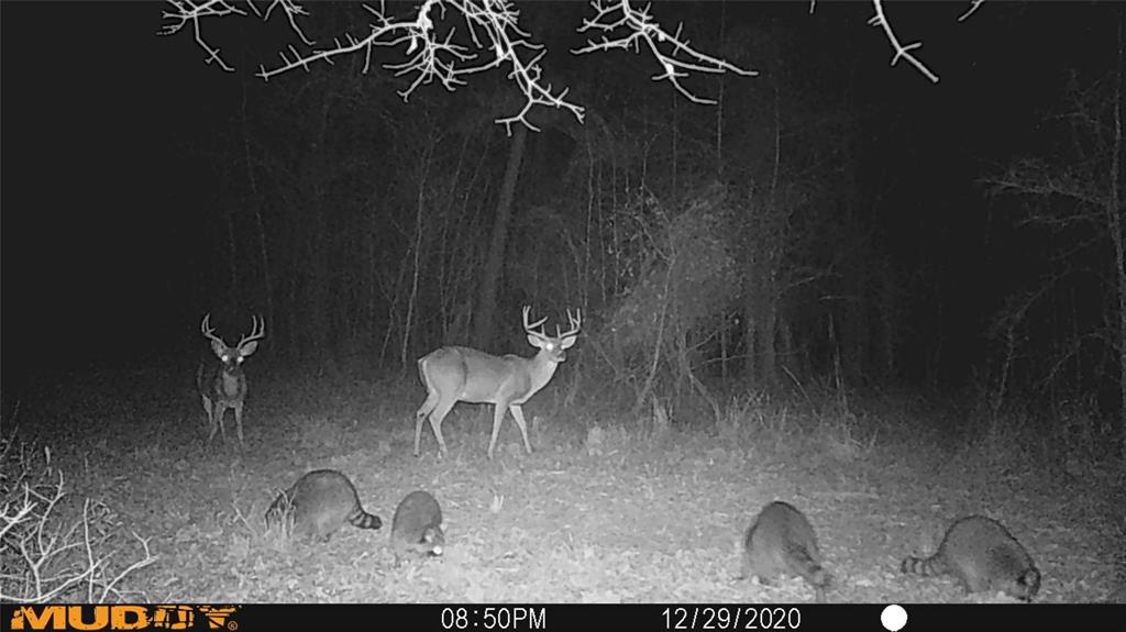 0473 Fm 3478, Huntsville, Texas image 2