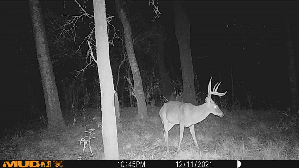 0473 Fm 3478, Huntsville, Texas image 3