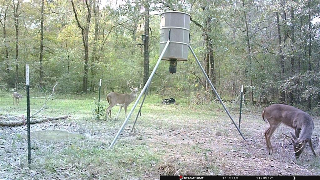 0473 Fm 3478, Huntsville, Texas image 4