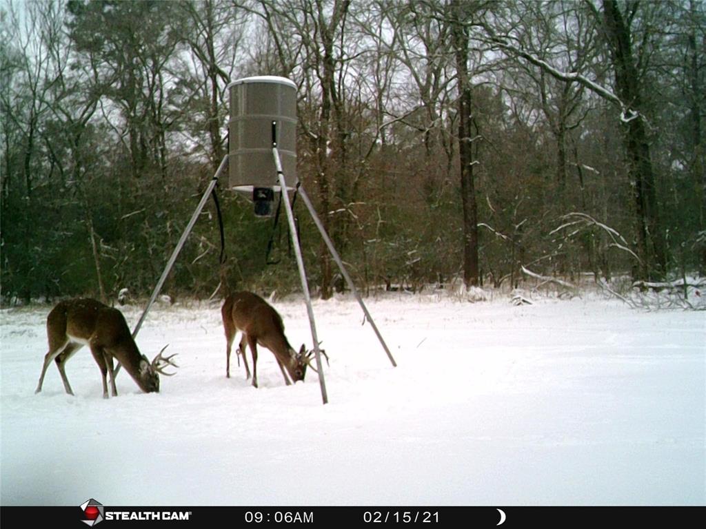 0473 Fm 3478, Huntsville, Texas image 1