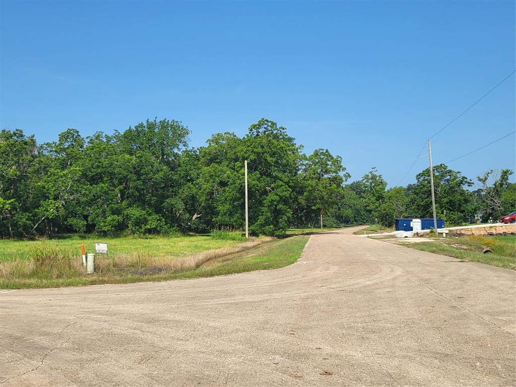 Lot 75 Conestoga Trail, Angleton, Texas image 6