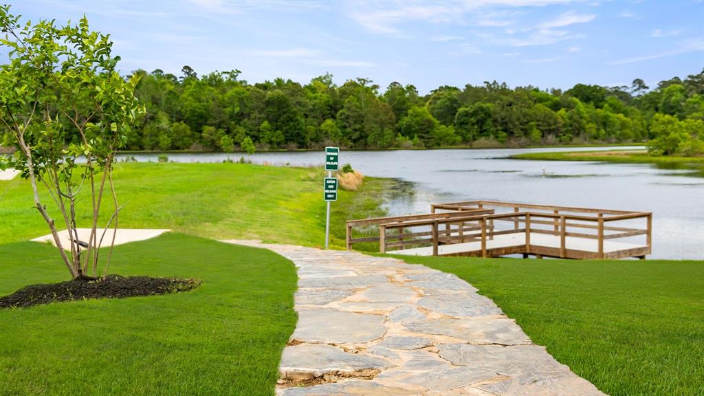 42616 Reminiscent Lane, Magnolia, Texas image 8