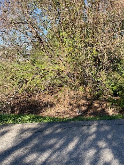 000 Cartersville Street, Houston, Texas image 6