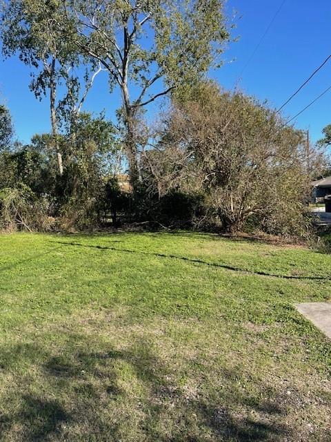 000 Cartersville Street, Houston, Texas image 14